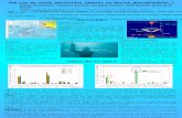 How can we study pesticides impacts on marine phytoplankton ? Sabine Stachowski 1, Harold Anseaume 1, Dorothée Hureau 2, Gaël Durand 2, Denis de la Broise.
