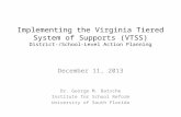 Implementing the Virginia Tiered System of Supports (VTSS) District-/School-Level Action Planning December 11, 2013 Dr. George M. Batsche Institute for.