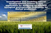 Investigation and modeling natural biodegradation system in soil; application for designing an efficient biological pretreatment technology for Biofuel.