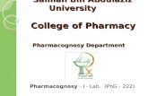 Salman Bin Abdulaziz University College of Pharmacy Pharmacognosy Department Salman Bin Abdulaziz University College of Pharmacy Pharmacognosy Department.