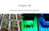Chapter 28 External factors and Plant growth. Nastic Movement Nastic Movements- plants movement that occur in response to a stimulus independent of position.