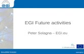 Www.egi.euEGI-InSPIRE RI-261323  EGI-InSPIRE RI-261323 EGI Future activities Peter Solagna – EGI.eu.