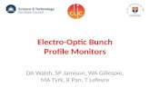 Electro-Optic Bunch Profile Monitors DA Walsh, SP Jamison, WA Gillespie, MA Tyrk, R Pan, T Lefevre.