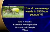 How do we manage weeds in $355/ton peanuts??? Eric P. Prostko Extension Weed Specialist University of Georgia Tifton.