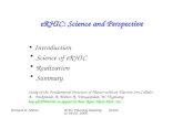 Richard G. MilnerRHIC Planning Meeting October 29-20, 2005 eRHIC: Science and Perspective Introduction Science of eRHIC Realization Summary Study of the.