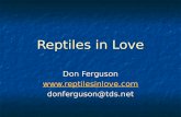 Reptiles in Love Don Ferguson  donferguson@tds.net.