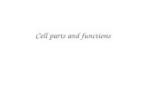 Cell parts and functions.  ehall/ph/cells/cells.htm ehall/ph/cells/cells.htm.