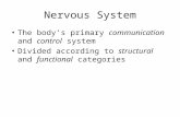 Nervous System The body’s primary communication and control system Divided according to structural and functional categories.