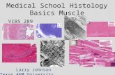 Medical School Histology Basics Muscle VIBS 289 lab Larry Johnson Texas A&M University.