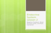 Endocrine System Lesson 2 Negative Feedback, Blood Glucose Levels, and Plant hormones!