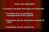 Inner ear disorders Causes: Prenatal, Perinatal and Postnatal Causes: Prenatal, Perinatal and Postnatal Prenatal: Occurs during the development of the.