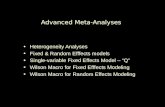 Advanced Meta-Analyses Heterogeneity Analyses Fixed & Random Efffects models Single-variable Fixed Effects Model – “Q” Wilson Macro for Fixed Efffects.