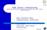 © B2B Sales Consulting Limited 2003 All rights reserved. B2B Sales Consulting 1 B2B Sales Consulting growing profitable revenues by improving your sales.