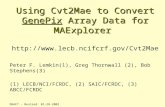 Using Cvt2Mae to Convert GenePix Array Data for MAExplorer Using Cvt2Mae to Convert GenePix Array Data for MAExplorer .