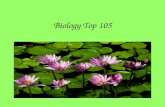 Biology Top 105. Carbohydrates Monomer- monosaccharide Function- energy source and structure Tests: glucose-Benedicts starch- Iodine fructose Ex. Cellulose,