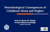 Prof. dr. Bernet M. Elzinga Section Clinical Psychology Leiden University Neurobiological Consequences of Childhood Abuse and Neglect.