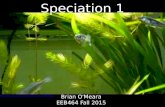 Speciation 1 Brian O’Meara EEB464 Fall 2015 .