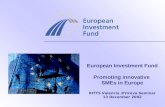 European Investment Fund Promoting innovative SMEs in Europe RITTS Valencia /Pricova Seminar 13 December 2002.