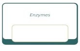 Enzymes. Enzymes- are special proteins responsible for certain chemical reactions. They aid in digestion. Activation energy- the energy that supplies.