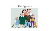 Pedigrees. What is a pedigree? A family tree that shows the passage of a trait.