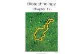Biotechnology Chapter 17. DNA Manipulation Restriction endonucleases revolutionized molecular biology Enzymes that cleave DNA at specific sites –Used.