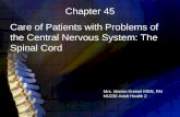 Care of Patients with Problems of the Central Nervous System: The Spinal Cord Chapter 45 Mrs. Marion Kreisel MSN, RN NU230 Adult Health 2.