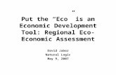 Put the “Eco” is an Economic Development Tool: Regional Eco-Economic Assessment David Jaber Natural Logic May 9, 2007.
