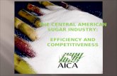 THE CENTRAL AMERICAN SUGAR INDUSTRY: EFFICIENCY AND COMPETITIVENESS.