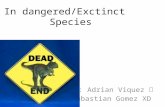 In dangered/Exctinct Species By: Adrian Viquez Sebastian Gomez XD.