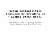 Ocean Instabilities Captured By Breeding On A Global Ocean Model Matthew Hoffman, Eugenia Kalnay, James Carton, and Shu-Chih Yang.