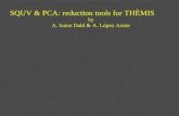 SQUV & PCA: reduction tools for THÈMIS by A. Sainz Dald & A. López Ariste.