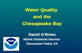 Water Quality and the Chesapeake Bay David O’Brien NOAA Fisheries Service Gloucester Point, VA.