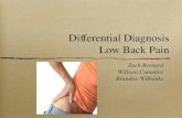 Differential Diagnosis Low Back Pain Zach Bernard William Cummins Brandon Wilbanks.