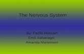 The Nervous System By: Fazila Hussain Endi Sabanagic Amanda Martensen.