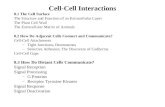 Cell-Cell Interactions 8.1 The Cell Surface The Structure and Function of an Extracellular Layer The Plant Cell Wall The Extracellular Matrix of Animals.