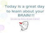 Today is a great day to learn about your BRAIN!!! Growing New Brain Cells?