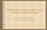 Hemetamesis and Hemetochezia (Acute GI Hemorrhage) Dr. Wu ShuMing GI Dept. RenJi Hospital.