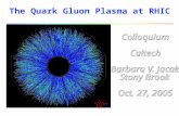 The Quark Gluon Plasma at RHIC outline l What’s a plasma? and why do we expect one from quarks and gluons? l The tools to make and study quark gluon.