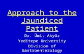 Approach to the Jaundiced Patient Dr. Ümit Akyüz Yeditepe University Division of Gastroenterology.