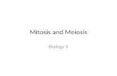 Mitosis and Meiosis Biology II. Warm-up (10-31-14) What are mitosis and meiosis? Why are there two processes? What is the difference?