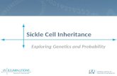 Sickle Cell Inheritance Exploring Genetics and Probability.
