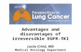 Advantages and disavantages of irreversible EGFR-TKI Lucio Crinò, MD Medical Oncology Department University Hospital Perugia, Italy.