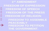1 ST AMENDMENT FREEDOM OF EXPRESSION  FREEDOM OF SPEECH  FREEDOM OF THE PRESS  F REEDOM OF RELIGION  FREEDOM TO ASSEMBLE PEACEABLY ) FREEDOM TO PETITION.
