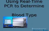 Using Real-Time PCR to Determine Blood Type. Lightcycler data.