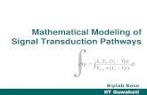 Mathematical Modeling of Signal Transduction Pathways Biplab Bose IIT Guwahati.