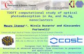 TDDFT computational study of optical photoabsorption in Au n and Au n Ag m nanoclusters Mauro Stener 1,2, Nicola Durante 3 and Alessandro Fortunelli 3.