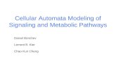 Cellular Automata Modeling of Signaling and Metabolic Pathways Danail Bonchev Lemont B. Kier Chao-Kun Cheng.