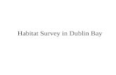 Habitat Survey in Dublin Bay. Booterstown Marsh Tolka River Estuary North Dublin Bay South Dublin Bay Designated Areas in Dublin Bay Dolphins, Dublin.