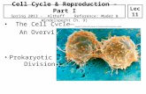 The Cell Cycle— An Overview Prokaryotic Cell Division Cell Cycle & Reproduction – Part I Spring 2013 - Althoff Reference: Mader & Windelspecht Ch. 9) Lec.