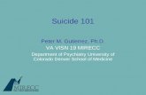 Suicide 101 Peter M. Gutierrez, Ph.D. VA VISN 19 MIRECC Department of Psychiatry University of Colorado Denver School of Medicine.